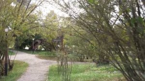 Аксаковские дни