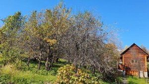 Красота неописуемая