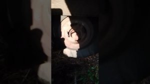 переход с электро тнвд на механическое тнвд таиота 2сте
