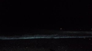 Чёрное море в Лазаревском!