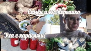 VLOG Уха с карасями!😋 Семён и его пёрышко🪶