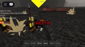 игра с сестрой