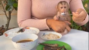 Обезьянка МАЛЮСЕНЬКАЯ была одна Ест с мамой палец сосет Вредничает непоседа МИЛЕНЬКАЯ