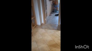 я заразилась опасным зомби вирусом !!!😮😱это треш !!