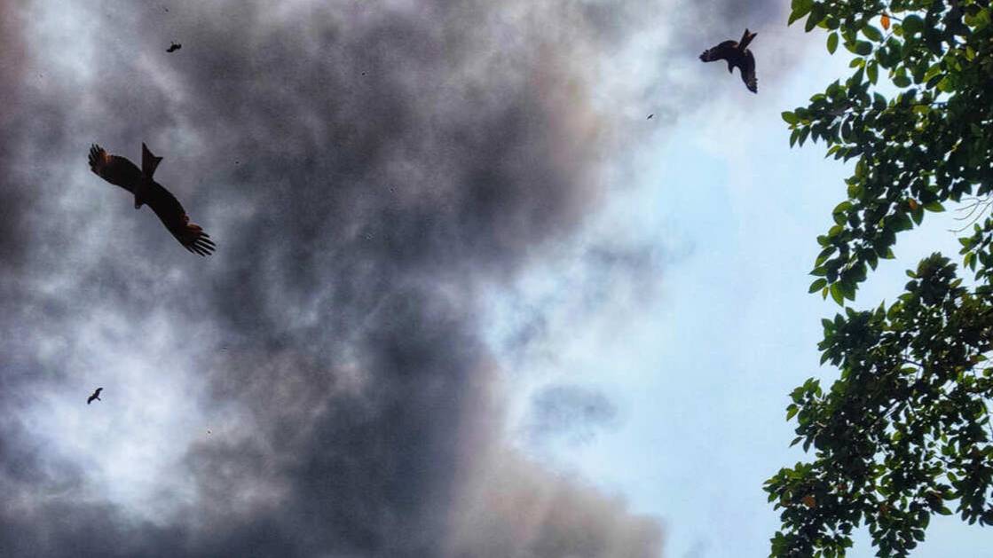 Взрыв произошел на железной дороге в Псковской области