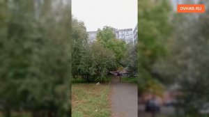 Круглосуточная выпечка хлеба у школы лишила сна хабаровчан