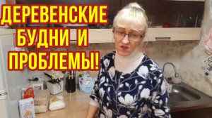 26-09-2025.Распаковка Озон.Работа в огороде.Брошенные.Что сегодня ели.