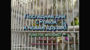 Последние дни с Ромой и новые друзья - 2025