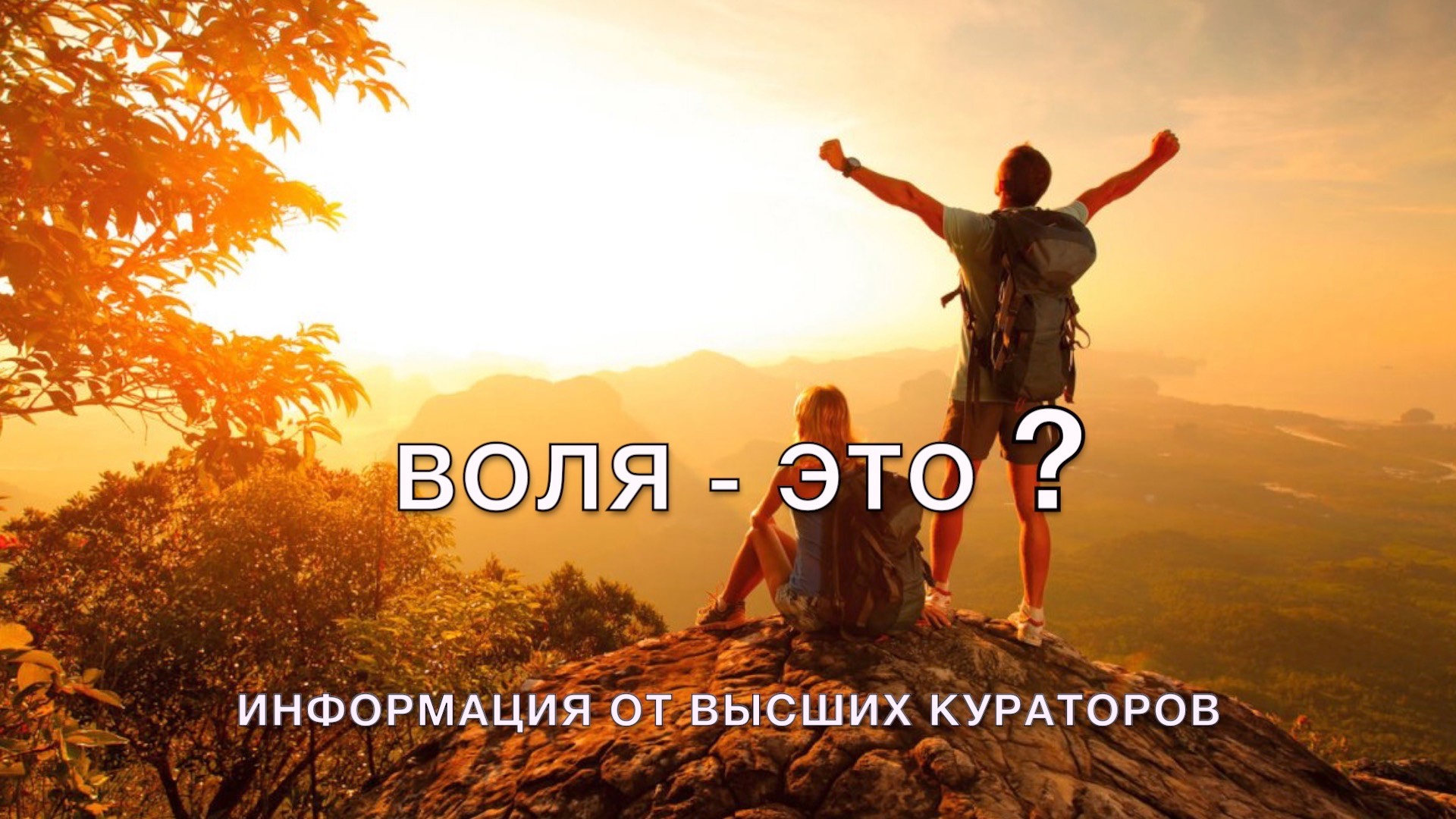 Воля - это ?
