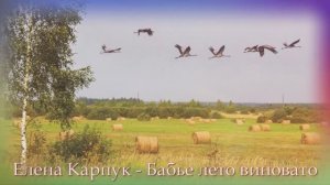Елена Карпук - Бабье лето виновато