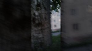 1000002503.mp4