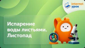 Испарение воды листьями. Листопад. Видеоурок по биологии 6 класс