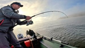 ТРОФЕЙНЫЙ СОМ КЛЮНУЛ НА РАССВЕТЕ🎣 Осенняя рыбалка на Квок. Рыбалка на сома 2025. Ловля сома.