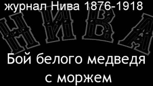 Бой белого медведя с моржем. описание журнал Нива 1876-1918