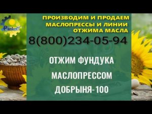 ОТЖИМ ФУНДУКА МАСЛОПРЕССОМ ДОБРЫНЯ 100