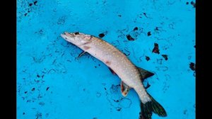 вечер 25 сентября. Просто потрясающий. обязательно посмотрите!!!!!