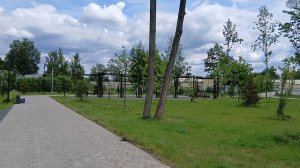 В парке Дубрава сделан красивый пруд с шезлонгами для отдыха