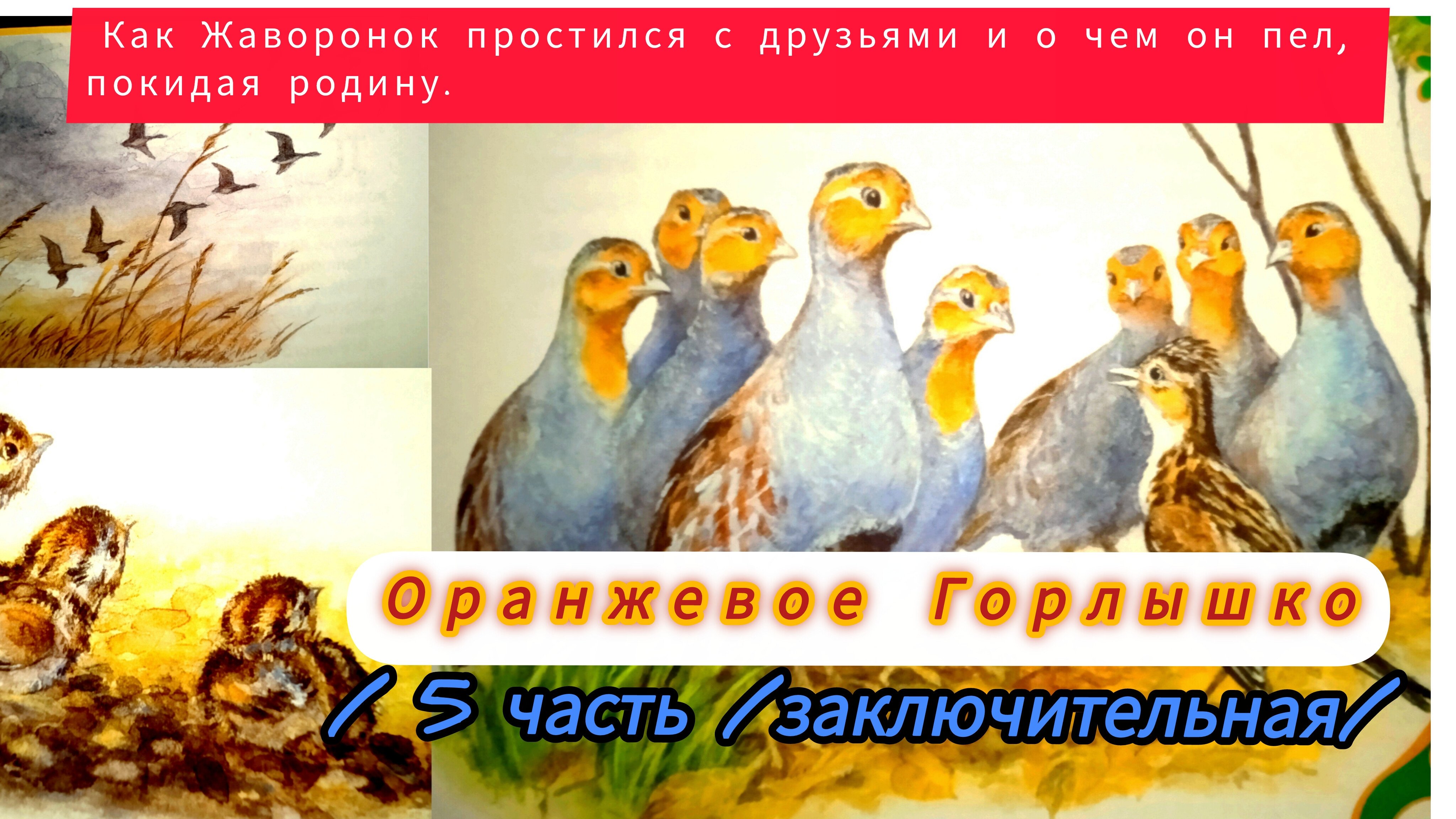 "ОРАНЖЕВОЕ ГОРЛЫШКО /5 часть заключительная 🍁🍁🍁🌾😘👍🌠🌜/