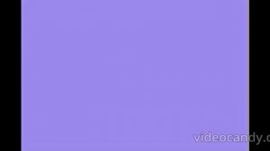 приключеня голубя конец