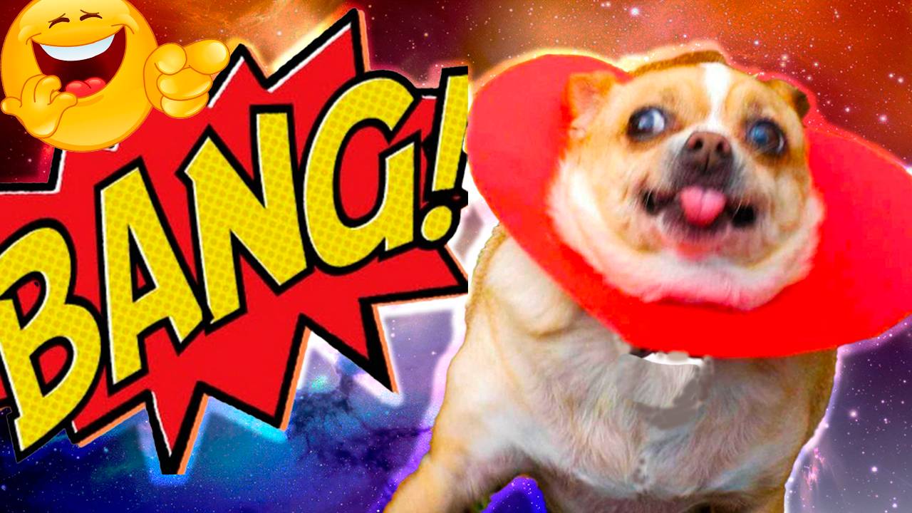 ЛУЧШИЕ ПРИКОЛЫ СЕНТЯБРЬ 2025 | ПОПРОБУЙ НЕ ЗАСМЕЯТЬСЯ | ТЕСТ НА ПСИХИКУ | РЖАКА ДО СЛЕЗ