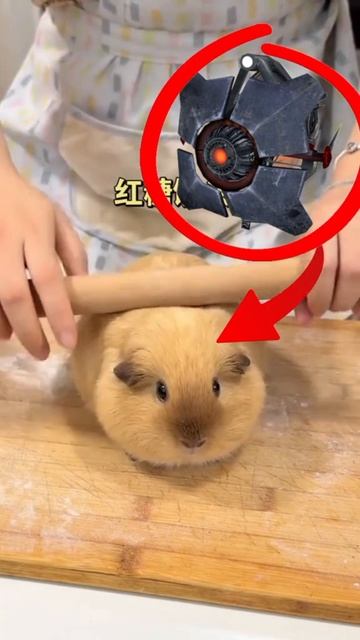 хл смотреть онлайн