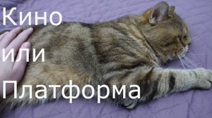 Кино или Платформа / ASMR 4K