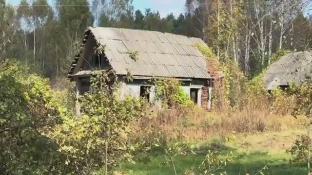 НА ХУТОРЕ БОЛЬШИЕ ОВОЩИ И БОЛЬШОЙ ХРЯК!