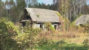 НА ХУТОРЕ БОЛЬШИЕ ОВОЩИ И БОЛЬШОЙ ХРЯК!