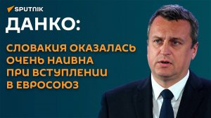 Данко: Словакия оказалась очень наивна при вступлении в Евросоюз