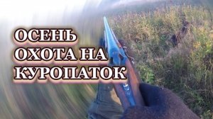 Охота на куропаток, осень.
