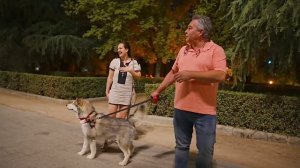 11 Minutes Scaring People in Madrid !! Bushman Prank