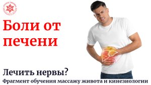 Боли от печени. Лечить нервы?  Фрагмент обучения висцеральному массажу и кинезиологии.