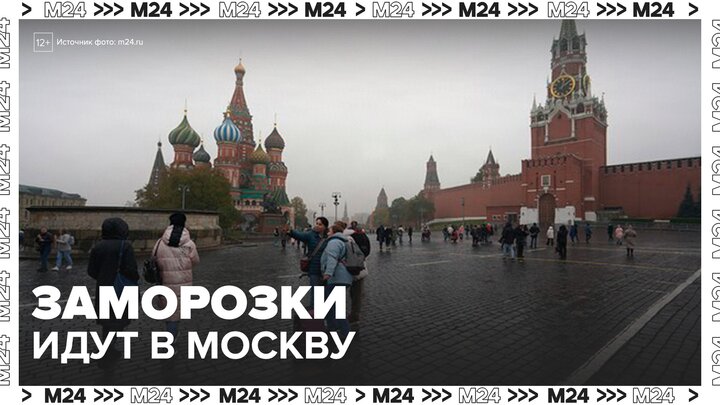 Заморозки придут в Москву раньше срока - Москва 24