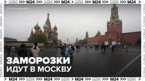 Заморозки придут в Москву раньше срока - Москва 24