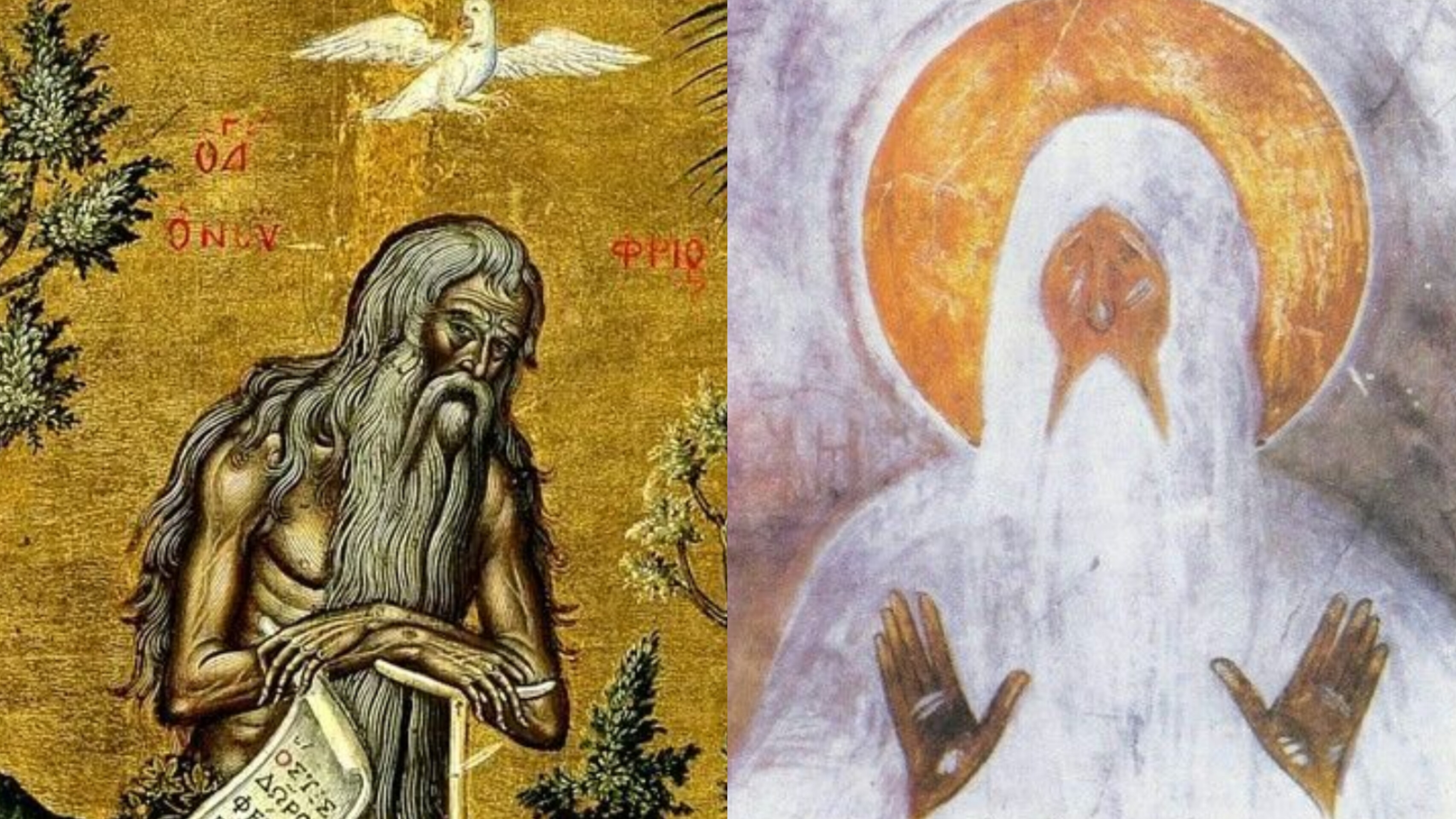 ТЫ ИЗБЕЖАЛ НАШИХ РУК,МАКАРИЙ,КРИЧАЛИ ЕМУ БЕСЫ НА МЫТАРСТВАХ..ЖИТИЕ МАКАРИЯ ЕГИПЕТСКОГО ч.1