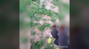 Архивное 2021 год