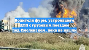 Водителя фуры, устроившего ДТП с грузовым поездом под Смоленском, пока не нашли