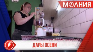 В Пуровском районе в самом разгаре сбор дикоросов