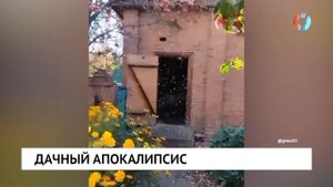 Новости от 26.09.2025