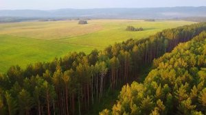 ПОГОДА И АФИША НА ВЫХОДНЫЕ