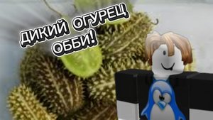 Прохожу ДИКИЙ ОГУРЕЦ ОББИ