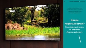 Camelion Smart Home: Как добавить в приложение умный пульт Camelion