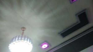 VID_20250122_171813.mp4