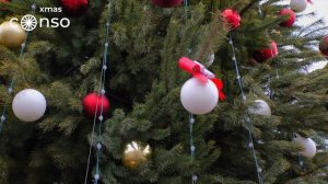 Реализованный проект 2024-2025, г. Тамбов