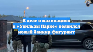В деле о махинациях в «Увильды Парке» появился новый банкир-фигурант
