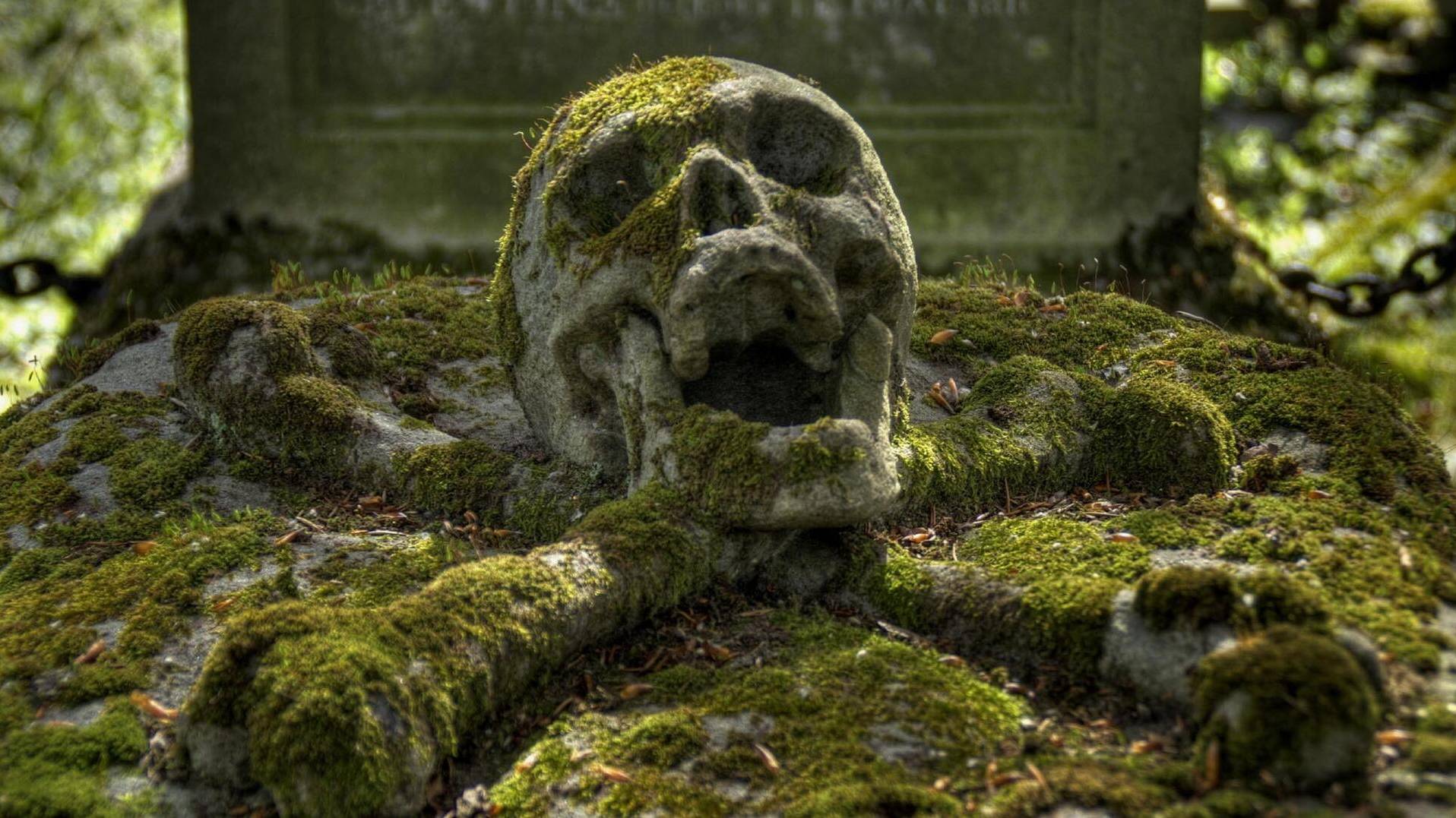 mortification-lymphosarcoma