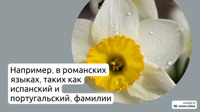 Фамилия Алонсо: история происхождения, значение и правила склонения фамилии в одной статье.