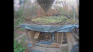 Сумское направление. Расчеты ИЦПБТ «Рубикон» продолжают свою боевую работу приграничье