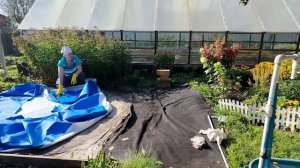 Убрали бассейн. Сварила кашу с тыквой. Заквасила огурцы.