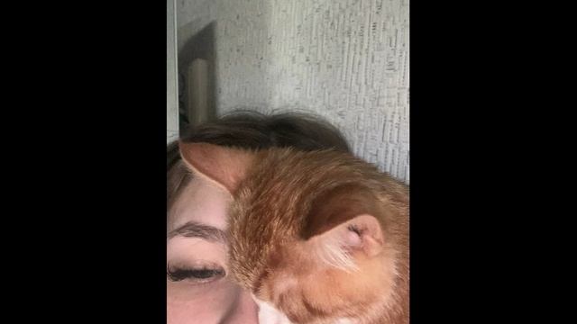 муз проеки фото